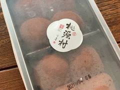 -桃源村(老门东店)
