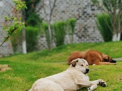 -南京市无想山景区