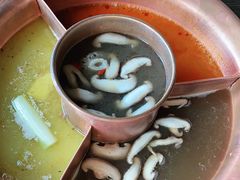 -滇釜火锅·能喝汤的火锅(车公庄店)