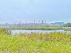 -野鸭湖国家湿地公园