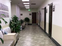 -美联众合动物医院·24h转诊中心