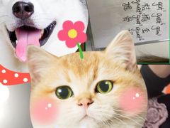 -粤学粤好·港式粤语文化及学习中心(福田南山都有店)