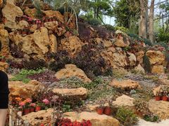 -南通洲际绿博园