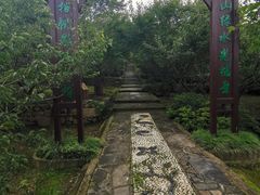 -香雪海