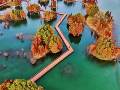 -贡湖湾湿地公园