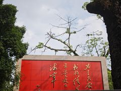 -鱼珠码头(轮渡站)