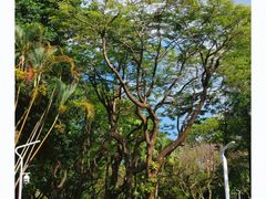 -人民公园(罗湖区)