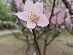 -白塘生态植物园