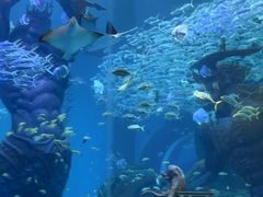 -波塞冬旅游度假区