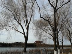 -后海公园