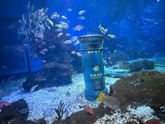 -海合安武汉极地海洋公园