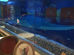 -ABC Swim亲子游泳俱乐部(河西店)