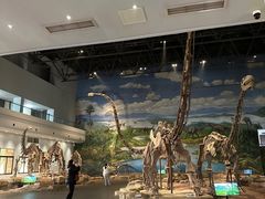 -自贡恐龙博物馆