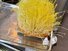 -巴倒烫陆派火锅山庄(南山总店)