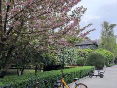 -四川大学(华西校区)