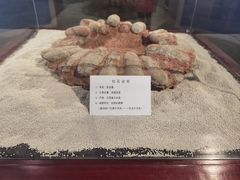 -大同煤炭博物馆