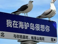 -海驴岛(荣成市)
