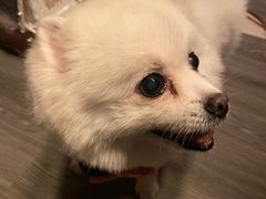 -伽利略剧本探案馆(国贸店)