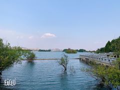 -贡湖湾湿地公园