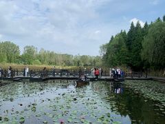 -溱湖国家湿地公园