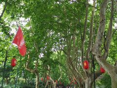 -杭州黄龙洞