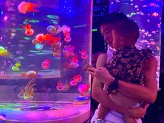 -邯郸海洋世界