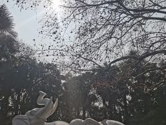 -环城公园-琥珀潭