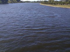 -羊亭河湿地公园