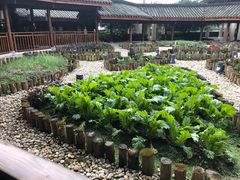 -青城山六善酒店·紫氣園中餐厅