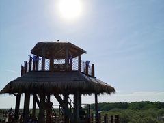 -北海金海湾红树林生态旅游区