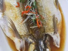 -巢湖名吃·徽府农家菜(半汤店)