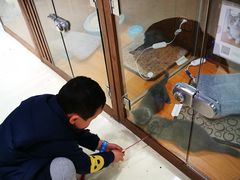 -龟与熊猫宠物公园(南坪店)