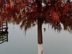 -厦门园林博览苑