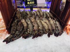-九月海·海鲜自助(世纪东方店)