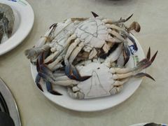 -春华海鲜城(广场西苑店)