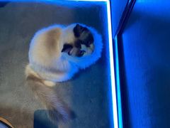 -零纪元VR体验馆·桌游(黄浦店)