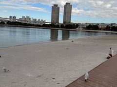 -台场海滨公园船码头