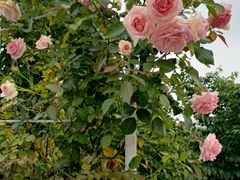 -奉浦四季生态园