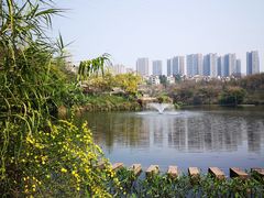 -重庆彩云湖湿地公园