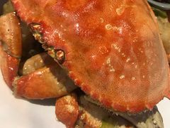 -森谷美食公园(杨行店)