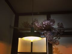 -金龙咖喱