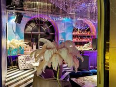 -Darling Queen·Mini·Live·House