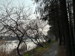-渌洋湖湿地公园