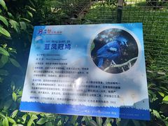 -深圳野生动物园