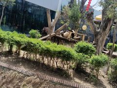 -五龙山野生动物王国