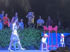 -渔家火锅·海鲜自助餐·演艺(亚龙湾天域酒店)
