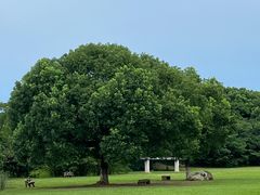 -艾溪湖湿地公园