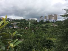 -贵阳市花溪国家城市湿地公园