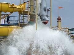 -秦皇岛乐岛海洋王国