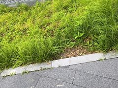 -海泰食府·新鲁菜·家宴(总部基地店)
